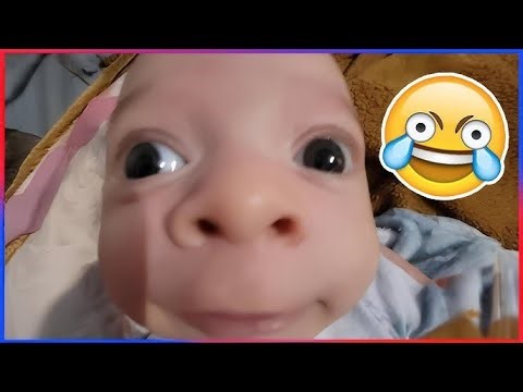 SI TE RÍES PIERDES NIVEL DIOS😂🤣🚨 [999.99 IMPOSIBLE NO REÍRSE]🥶Videos De Risa Muy Graciosos 2025😁