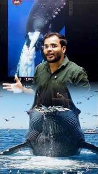 Whale is a mammal; how does it nurse its young ?| #science #education #physics #learning #experiment