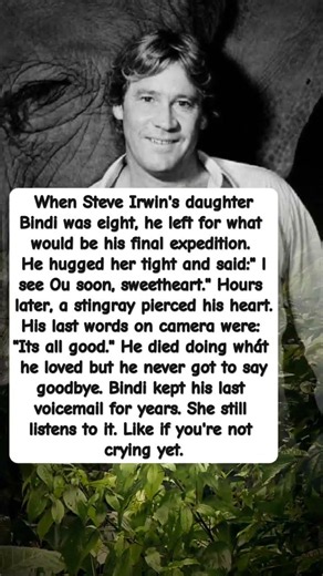 The Final Hours of Steve Irwin Will Break Your Heart