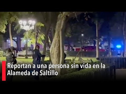 Reportan a una persona sin vida en la Alameda de Saltillo