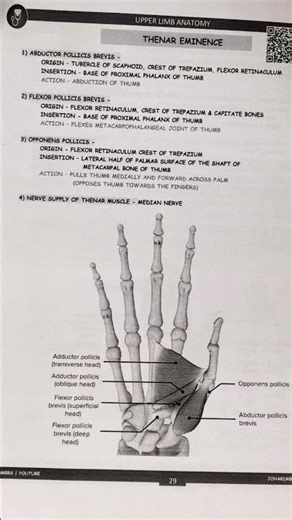 thenar eminence short notes #viral #trending #shorts