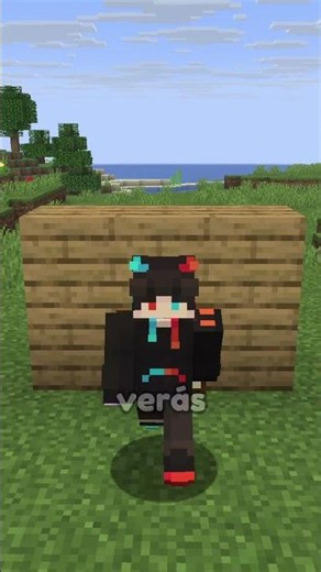 The Secret to the Minecraft Dog Door