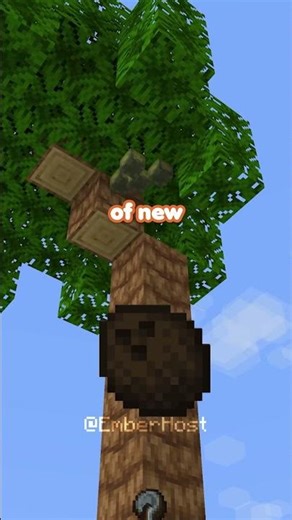 This Mod Fixes Minecraft's 1.19 Wild Update #minecraft #minecraftmods #minecraftnews #mcyt