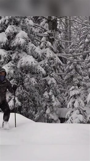 No Shelter No Sleeping Bag Winter Camping Survival a -13°C Snowstorm #survival #Outdoors #camping