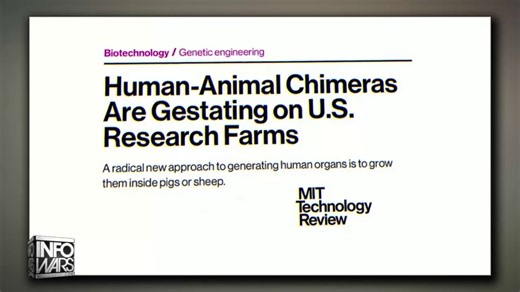 VIDEO: "I Had Someone Brief Me On The Locations Of Hybrid Breeding Programs Where Captured Aliens Were Breeding With Humans To Create Some Hybrid Race!" Matt Gaetz Reveals What He Was Told About Alien-Human HybridsJames Williams AKA 'Dark Waters' Responds, "When You Combine Modern Tech From Off-World Demons With Genetically Modified Humanoids, What You Get Is No Longer Human!"He Goes On To Lay Out How These Experimental Creatures Are No Longer Is Made In The Image Of God As The Creator Intended!