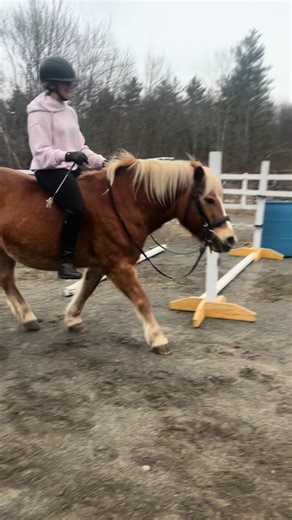 Sandy Cheeks Cosplay at Santa Fe Rodeo