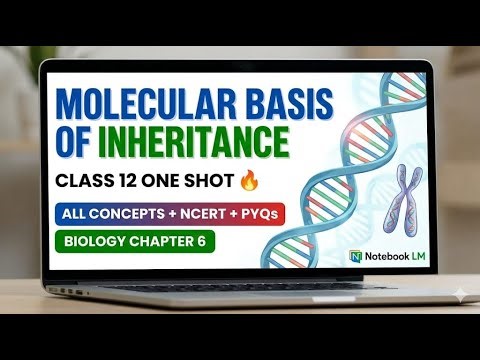 Molecular Basis Of Inheritance Class 12 🔥 | NCERT + PYQs | Biology Chapter 6 by Notebook LM