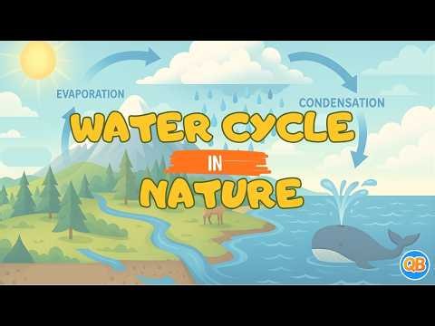 Water Cycle in Nature | Science for kids