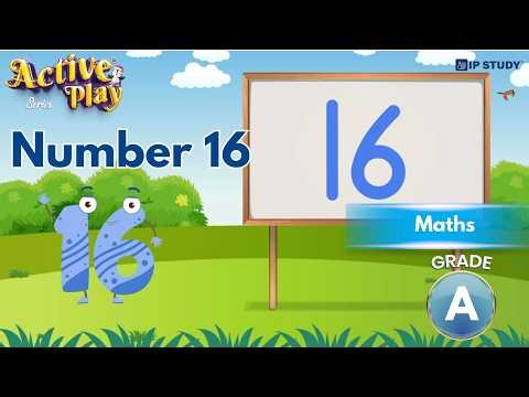 Number 16 | Maths Grade A | Chapter 24 | IP Study