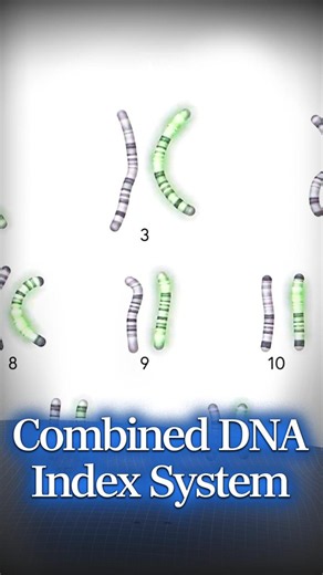 The FBI's DNA Database#veritasium #science #physics #biology