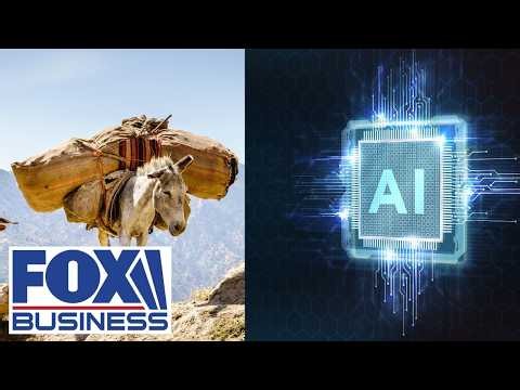 AI is more like a 'GLORIFIED MULE,' expert says