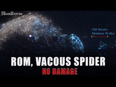 Bloodborne - Rom the Vacous Spider Boss fight (No Damage)