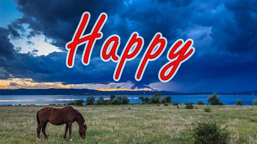 The happiest cities in the United States ranked in the top 10
