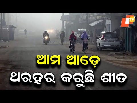 Cold Wave and Dense Fog Leave People Shivering in Bonai