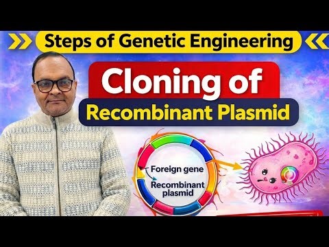 Recombinant Plasmid Cloning 😲 | Genetic Engineering Made Easy | Class 12