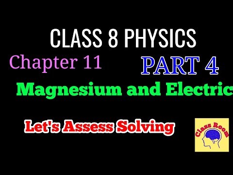 Class 8 physics chapter 11 magnetism and electricity let's assess solving 