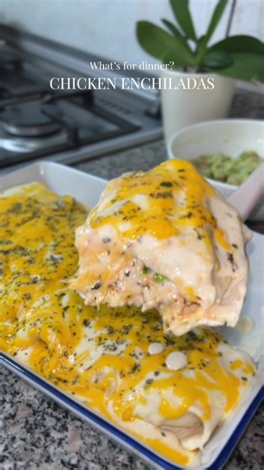 Chicken Enchiladas Recipe with Creamy White Sauce (Easy Dinner)