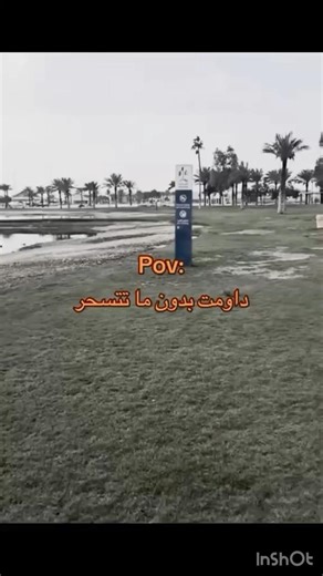 وش يصير لو داومت بدون سحور؟ اللوحات صارت تتكلم! 🏃‍♂️💨