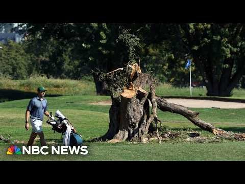 Judge halts Trump administration from clearing trees at D.C. golf course