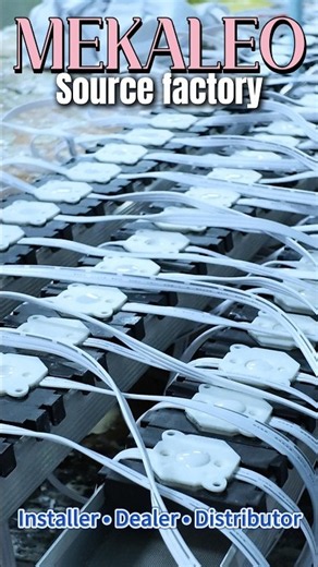 Commercial Permanent Holiday Lights | Programmable RGB Eave Light System