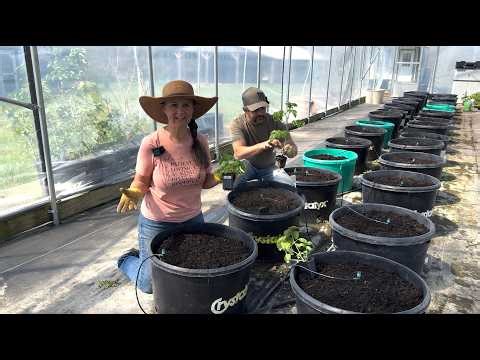 Planting Our Most Flavorful Greenhouse Yet!