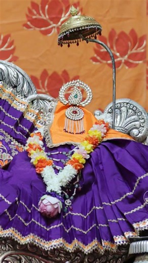 #radharaman #vrindavan #daly #darshan #radharamanji #viral #shorts #shortvideo