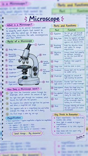 Microscope : Parts , Functions & How it Works | Complete Guide #biologynotes #exampreparation