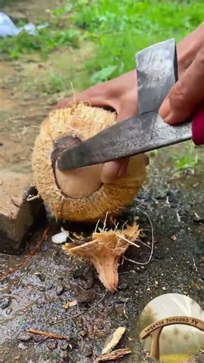 Coconut opening technique