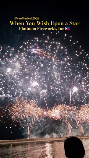 When You Wish Upon a Star by Platinum Fireworks, Inc #pyromusical #disney #fyp #reels #fireworks