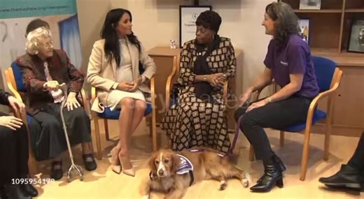 Just a quick reminder, Meghan Markle FAKED being pregnant with Archie Harrison Mountbatten WindsorDuring Meghan’s January 2019 visit to Mayhew, while sitting & speaking to some women, you can clearly see the outline and the top of the prosthetic underneath Meghan’s dressSomething tells me the lady of color next to Meghan knew 🤭