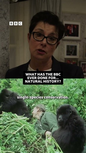 What has the BBC ever done for Natural History?