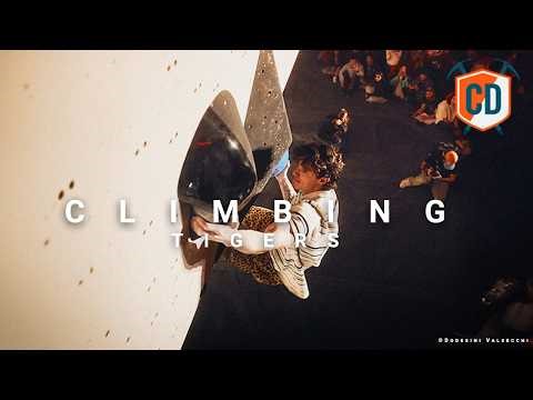 Europe's BEST Amateurs and Pros BATTLE It Out | Climbing Tigers
