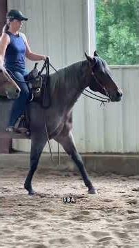 Ethel has to learn to be our new pony horse! Part 1 #horse #horses #equestrian