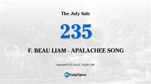 Hip 235 - FT July Sale - 2025 filly by Beau Liam - Apalachee Song