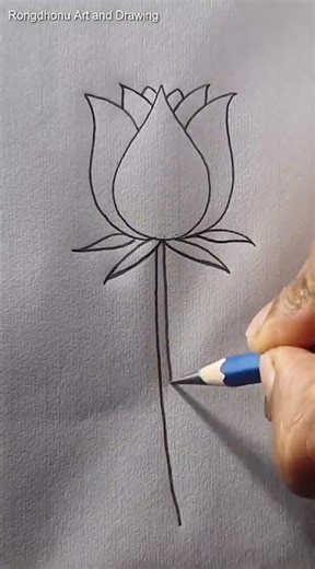 Easy Rose Flower Drawing With Pencil #rongdhonuartanddrawing #shorts