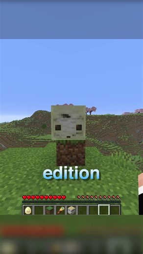 The new sulfur cube mob behaves strangely on Java and Bedrock #minecraft #minecraftupdate