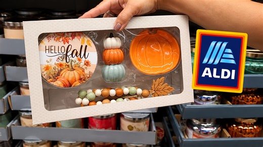 She walked into Aldi looking for fall deals then found a few unexpected bargains