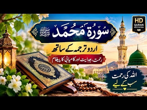 سورة محمد كاملة مع الترجمة الأردية | تلاوة خاشعة ومؤثرة | Surah Muhammad with Urdu Translation