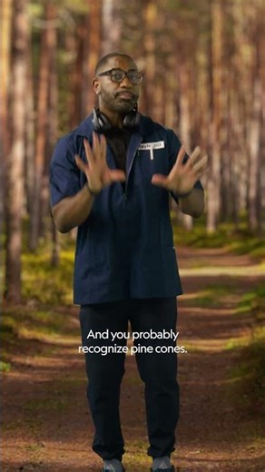 How To Spot A Pine Tree! 🌲 | The Wonder List | Earth Month 🌎 | @natgeokids