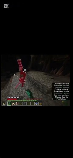 run from your cat in the red hat #minecraft