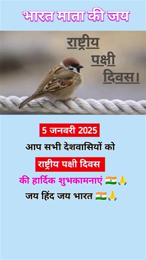 Rastriya pakshi diwas ✨🇮🇳#birds #shorts