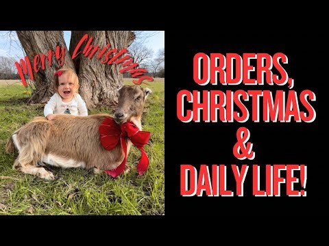 IT’S THE MOST WONDERFUL TIME OF THE YEAR!!