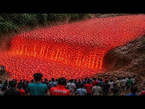 Most Unbelievable Nature Moments Ever Caught on Camera