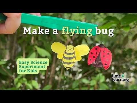 Easy Science Magic: Flying Bug Experiment 🐝✨