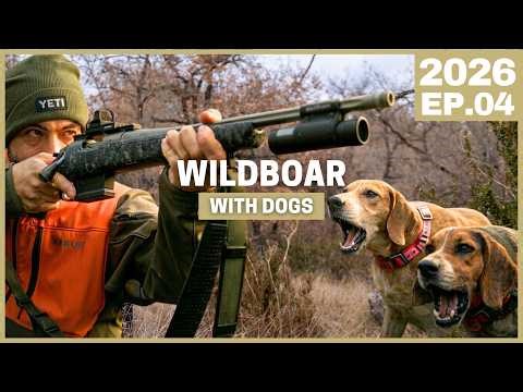 Wild Boar Hunting with Dogs | My Worst Miss Ever