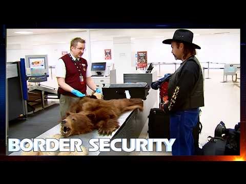 Giant Taxidermied Bear Stuns Customs Officers | S7 E6 FULL EPISODE | Border Security Australia