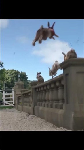 A DARING Rescue | Peter Rabbit | Movie Scene 🔥 #shorts