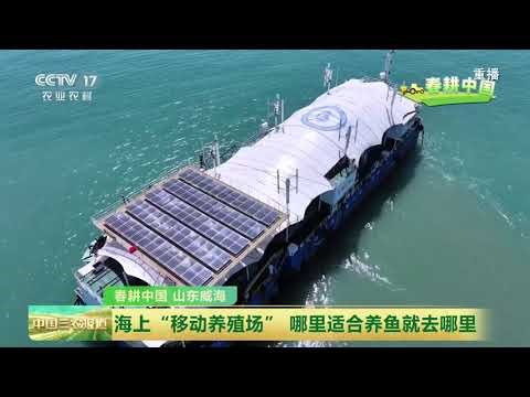 [中国三农报道]春耕中国 伏季休渔期即将到来 海产养殖保证海鲜不断档 | 农业致富经 Agriculture And Farming