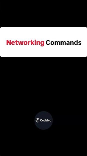 Networking Commands Every Student Should Know