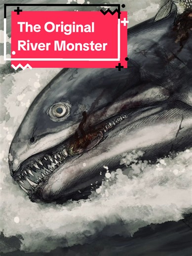 The Original River Monster #dinotok #fish #rivermonster #learnontiktok #edutok